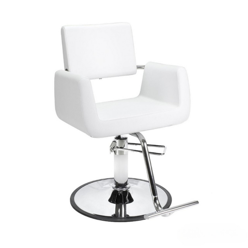 ARON Modern Styling Chair